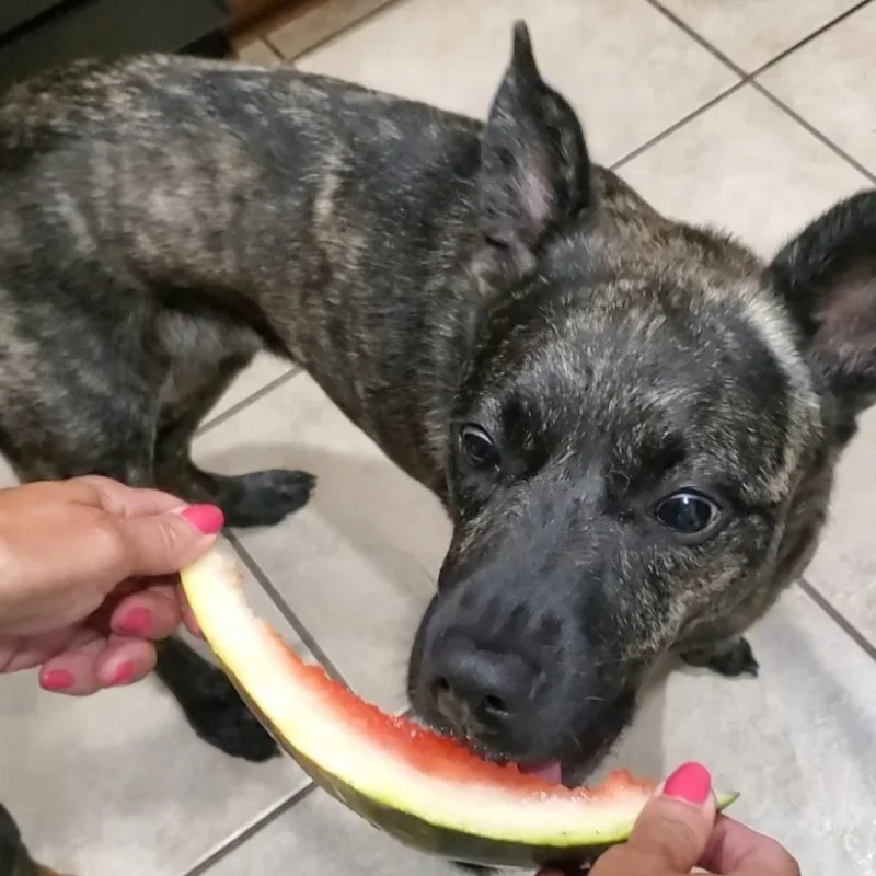 Screenshot_20231120_115156_Gallery-e1748978898708-1024x820